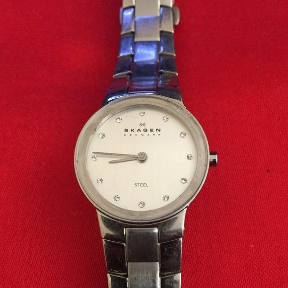 Skagen Classic Ladies Watch